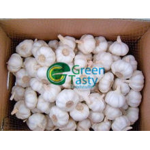 Fresh Garlic Powder Cloves High Quality